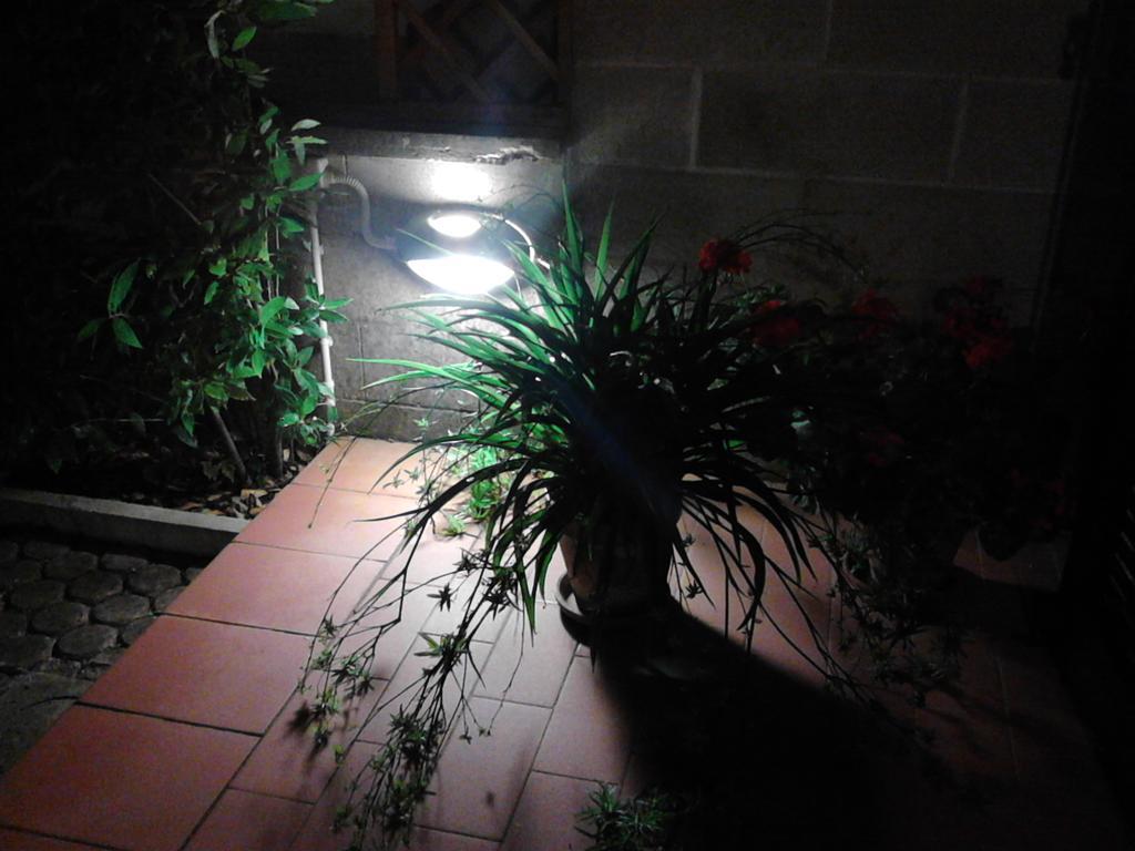 Bed And Breakfast Catherina Ponsacco Buitenkant foto
